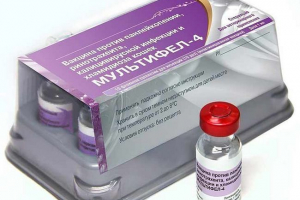 Мультифель-4 для кішок - переваги та недоліки Мультифель-4 для кішок - переваги та недоліки